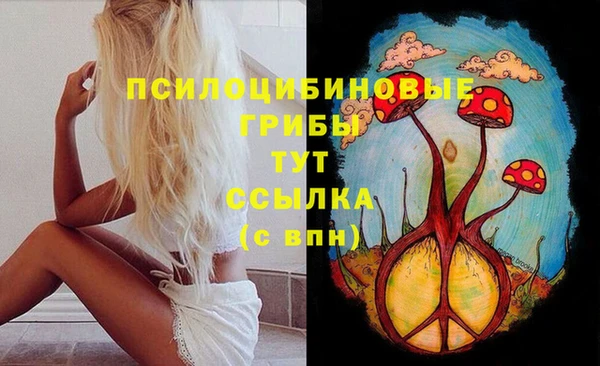 spice Алексин