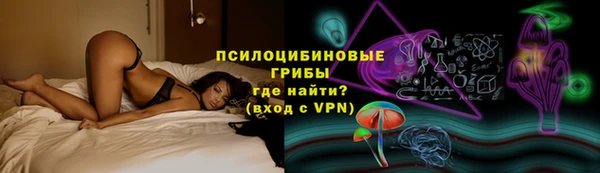 молекула духа Алзамай